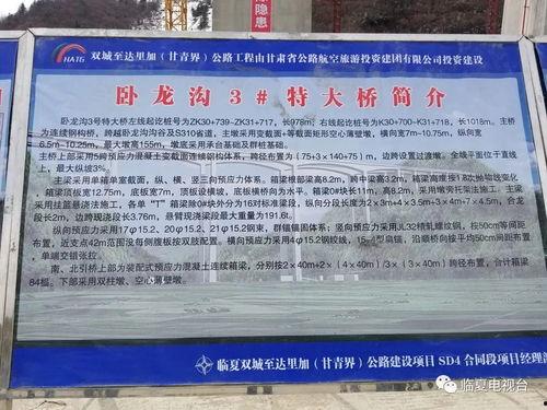 临夏最新爆料,揭秘神秘事件背后的真相  第1张